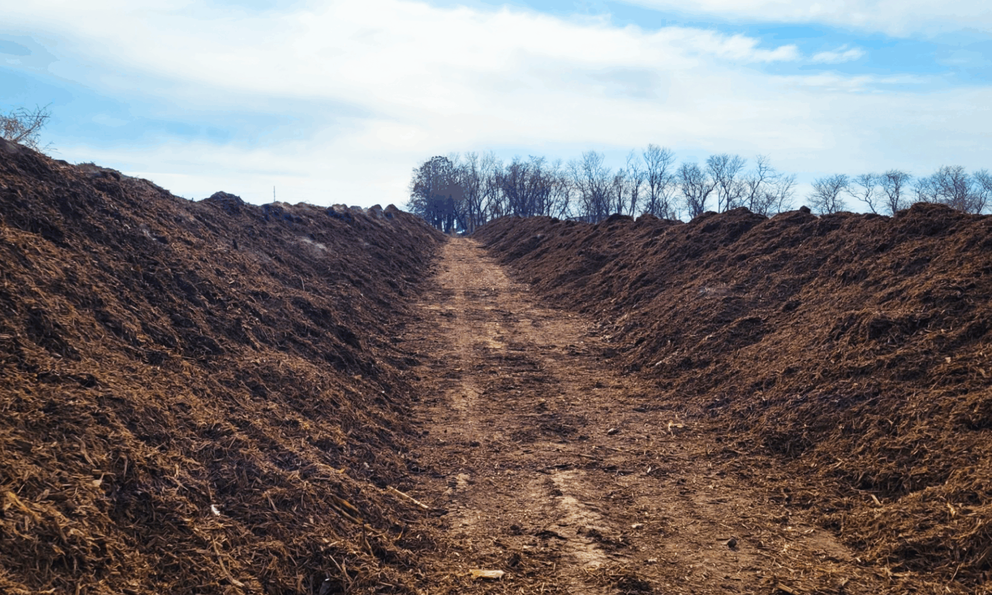 Compost Pile 2000x1200