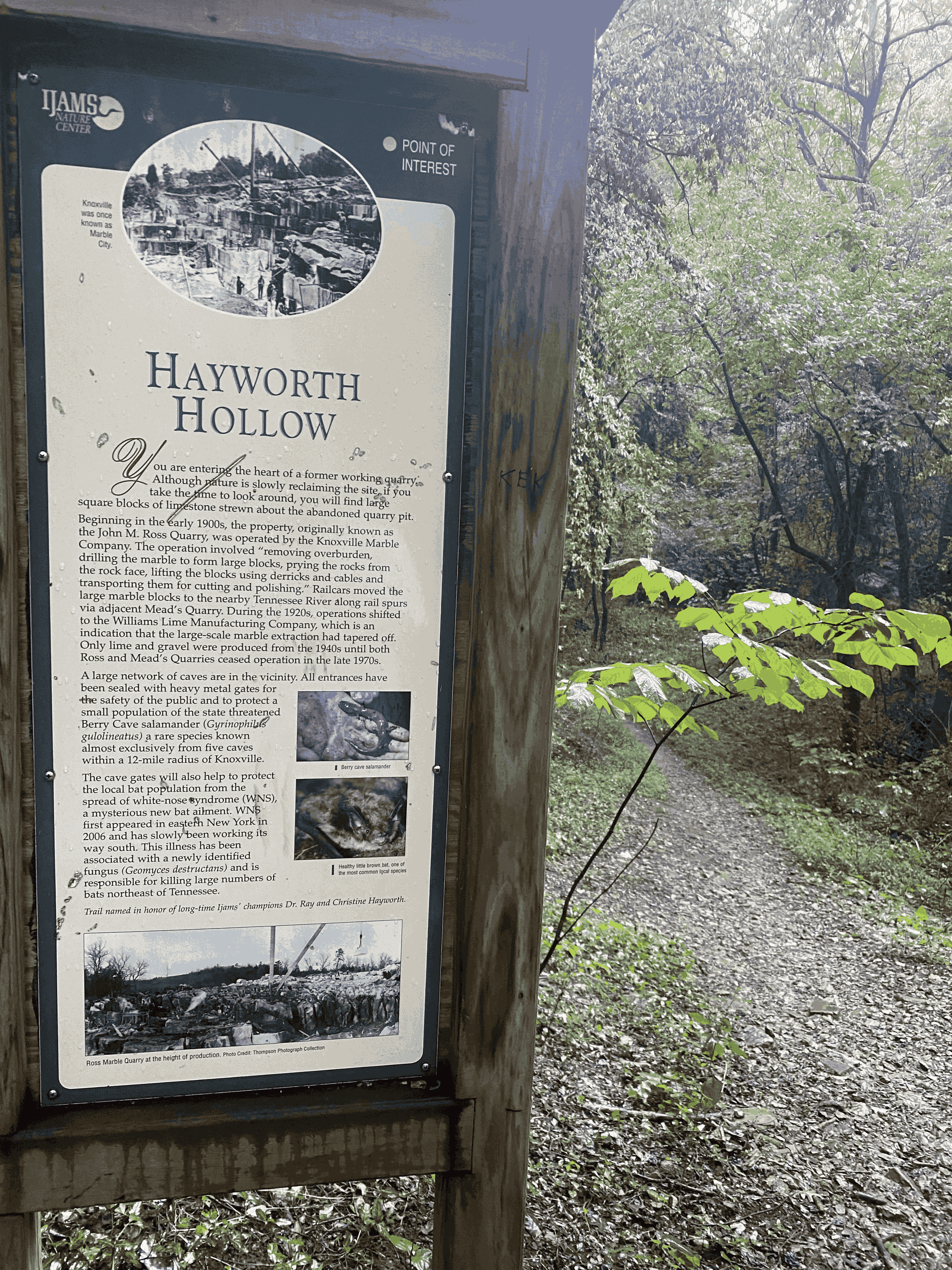 IMG 4335 sign IMGCentury