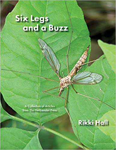 Six Legs And a Buzz by Rikki Hall