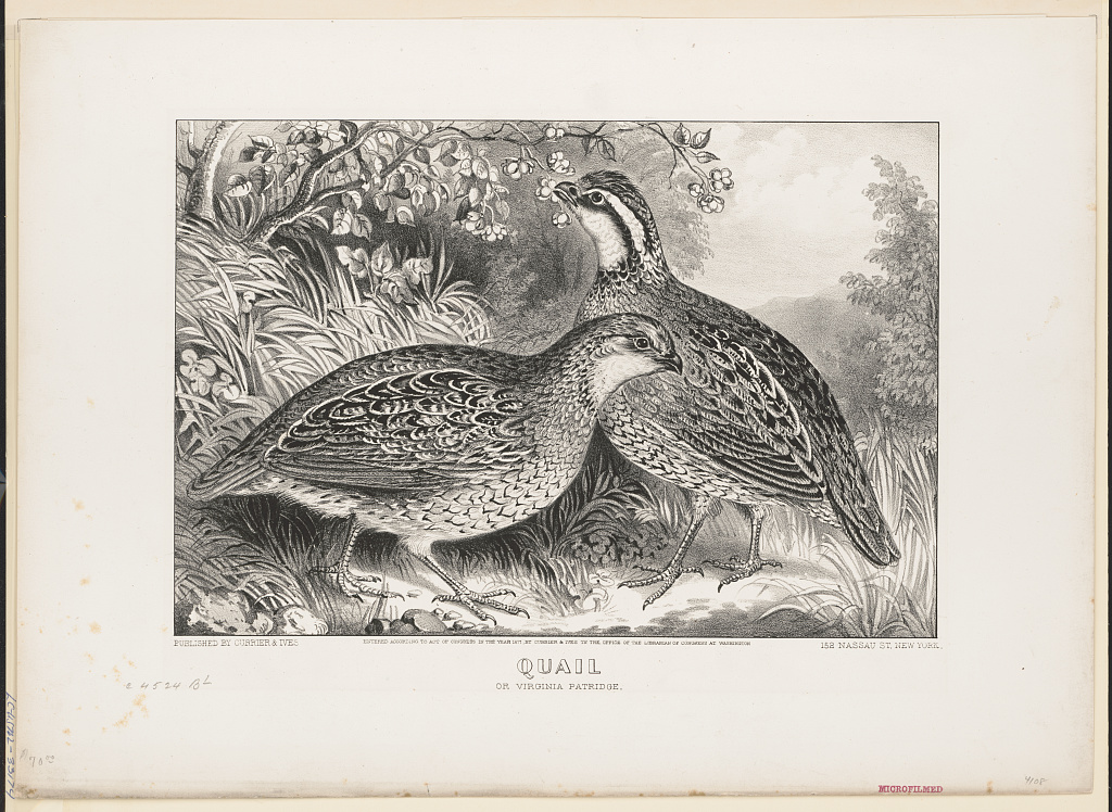 service pnp pga 09600 09690v